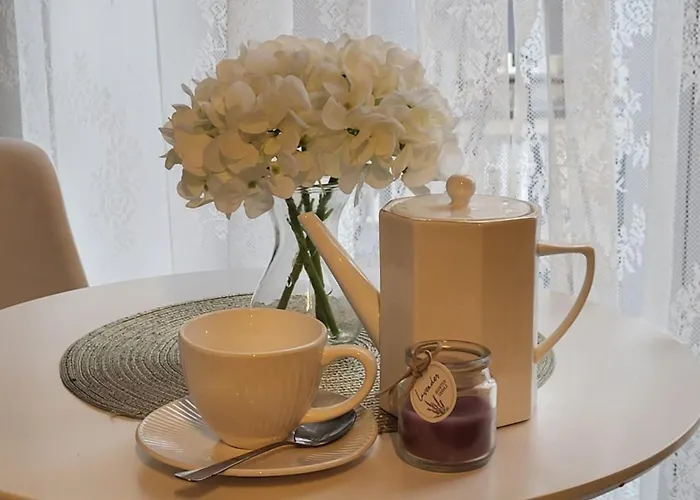 Apartament-studio 1 Z Balkonem Gliwice